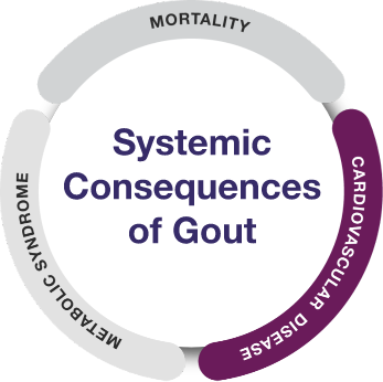 Gout inflammatory response graphic