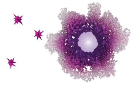 Artist's rendition of KRYSTEXXA MOA