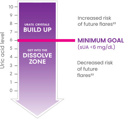 Graphic showing uric acid levels above 6 mg/dL are associated with increased risk of future flares and joint damage, while uric acid levels below 6 mg/dL are associated with decreased risk of future flares and joint damage