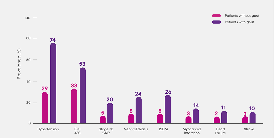 A chart from MIRROR RCT comparing prevalence of ailments among patients with and without gout.