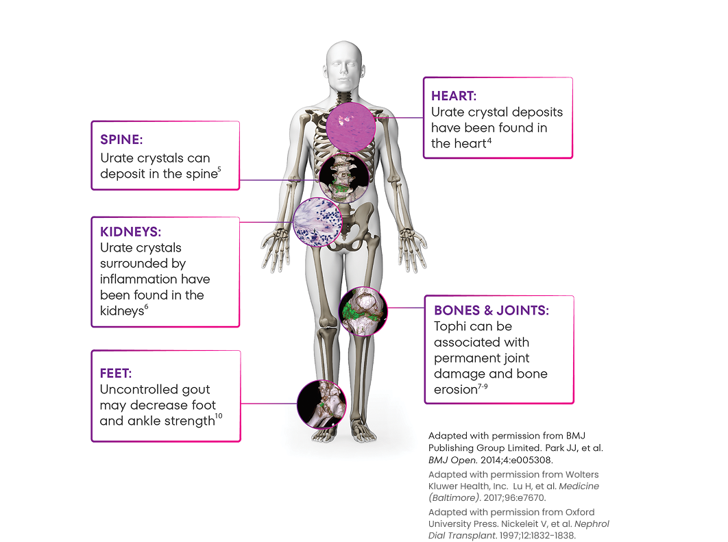 Glassman_ref-v4 2 - des