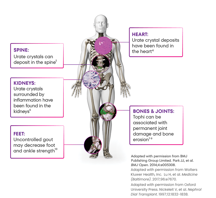 Glassman_ref-v4 2 - mob