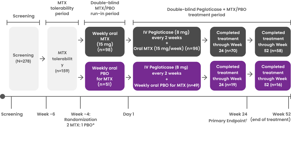 KRYSTEXXA MIRROR RCT design, showing Screening (n=278) before Week -6; MTX tolerability period (n=159) at Week -6 through Week -4; Double-blind MTX/PBO run in period with oral MTX (15mg/week)(n=98) and weekly oral PBO for MTX (n=51) at Week -4 through Day 1; Double-blind Pegloticase + MTX/PBO treatment period with IV Pegloticase (8 mg) every 2 weeks + Oral MTX (15 mg/week)(n=96) and IV Pegloticase (8 mg) every 2 weeks + Weekly oral PBO for MTX (n=49) from Day 1 through Week 24, with IV Pegloticase (8 mg) every 2 weeks + Oral MTX (15 mg/week)completed treatment through Week 24 (n=70)and IV Pegloticase (8 mg) every 2 weeks + Weekly oral PBO for MTX completed treatment through Week 24 (n=19), and with IV Pegloticase (8 mg) every 2 weeks + Oral MTX (15 mg/week)completed treatment through Week 52 (n=58)and IV Pegloticase (8 mg) every 2 weeks + Weekly oral PBO for MTX completed treatment through Week 52 (n=16)