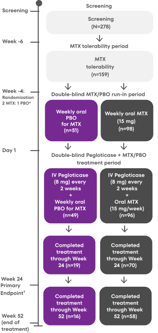 KRYSTEXXA MIRROR RCT design, showing Screening (n=278) before Week -6; MTX tolerability period (n=159) at Week -6 through Week -4; Double-blind MTX/PBO run in period with oral MTX (15mg/week)(n=98) and weekly oral PBO for MTX (n=51) at Week -4 through Day 1; Double-blind Pegloticase + MTX/PBO treatment period with IV Pegloticase (8 mg) every 2 weeks + Oral MTX (15 mg/week)(n=96) and IV Pegloticase (8 mg) every 2 weeks + Weekly oral PBO for MTX (n=49) from Day 1 through Week 24, with IV Pegloticase (8 mg) every 2 weeks + Oral MTX (15 mg/week)completed treatment through Week 24 (n=70)and IV Pegloticase (8 mg) every 2 weeks + Weekly oral PBO for MTX completed treatment through Week 24 (n=19), and with IV Pegloticase (8 mg) every 2 weeks + Oral MTX (15 mg/week)completed treatment through Week 52 (n=58)and IV Pegloticase (8 mg) every 2 weeks + Weekly oral PBO for MTX completed treatment through Week 52 (n=16)