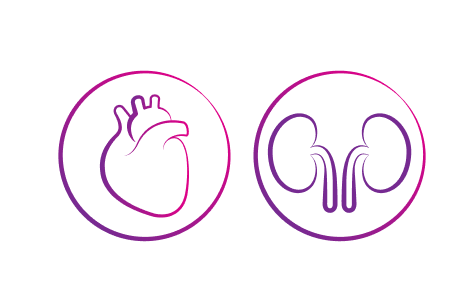 Illustrations of heart and kidneys